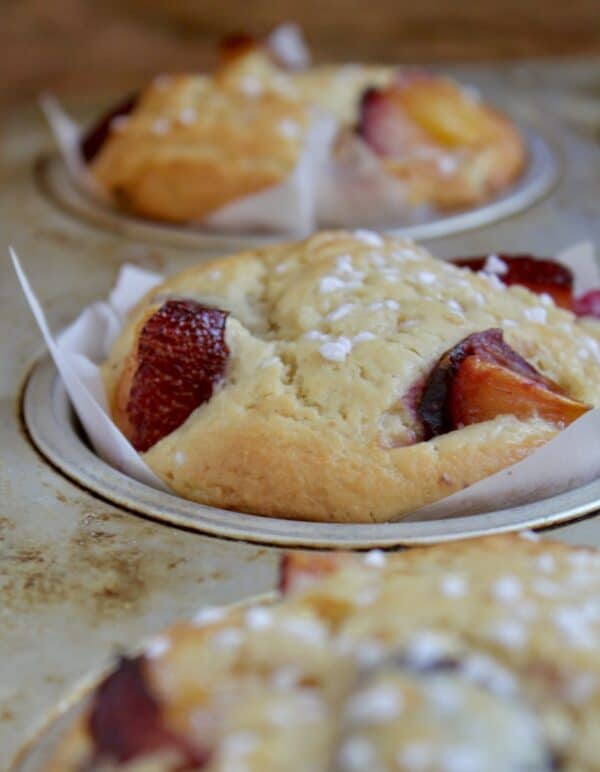 perfect plum muffins baked in a tray