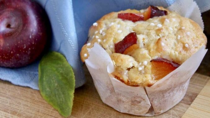 plum muffin with plum