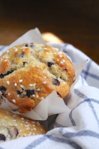best blueberry muffins ever