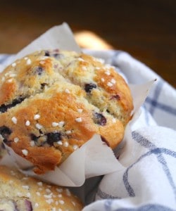best blueberry muffins ever
