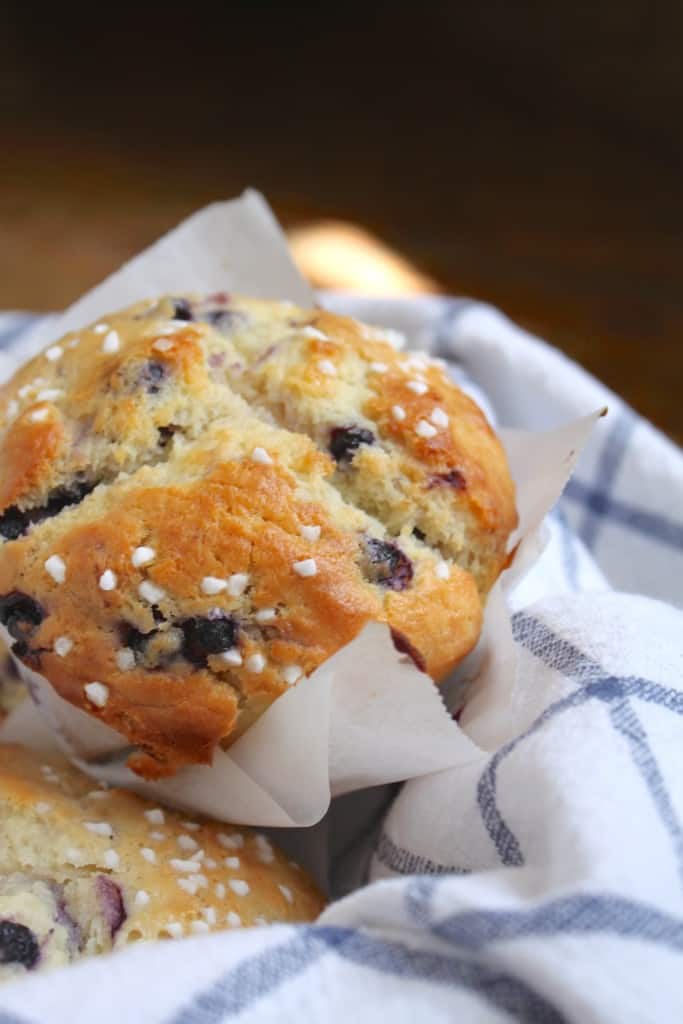 best blueberry muffin made using a perfect blueberry muffin recipe