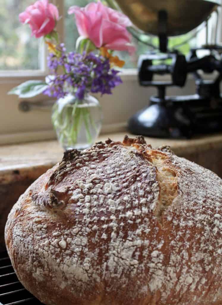 No knead bread cooling