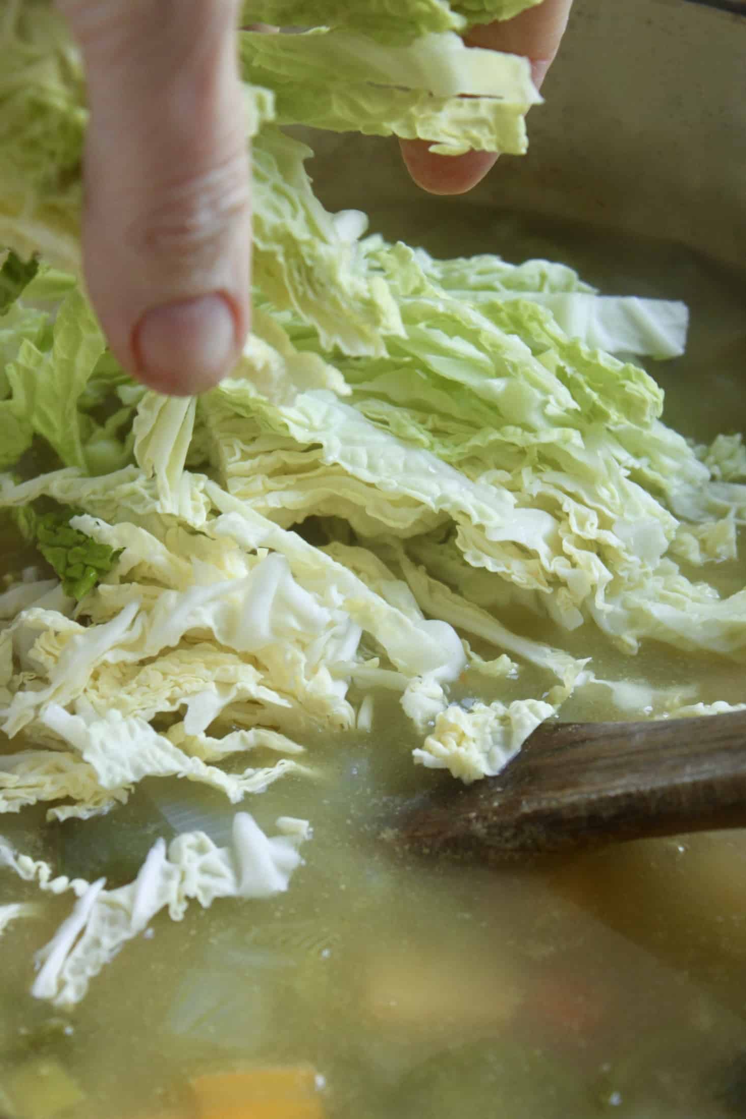 adding cabbage to soup