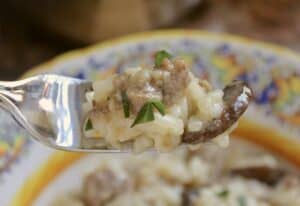 risotto on a fork