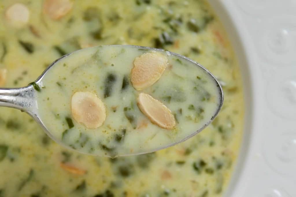 Spoonful of spinach soup