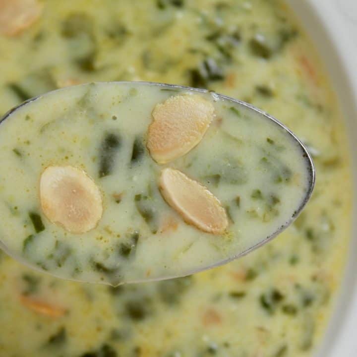 Spoonful of spinach soup