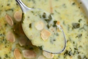 spoonful of spinach soup