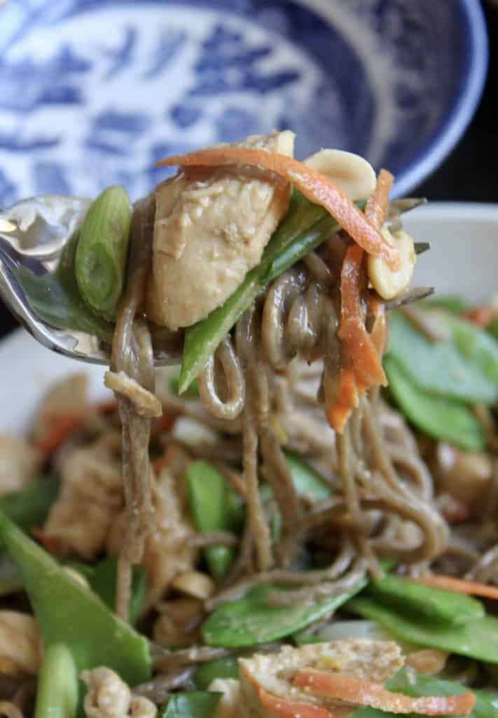 forkful of Spicy Soba Noodles with Chicken and Peanut Sauce