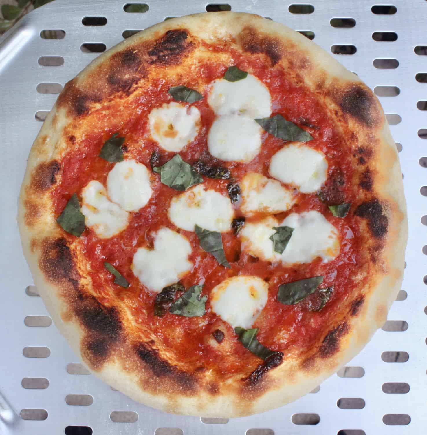 Best Homemade Pizza Dough Recipe (Authentic Neapolitan Style) - Christina's Cucina