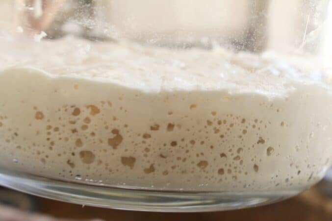 Poolish in a jar