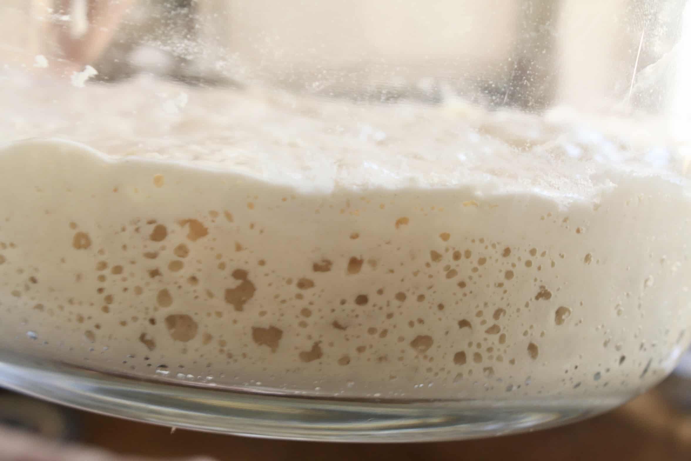 Poolish in a jar