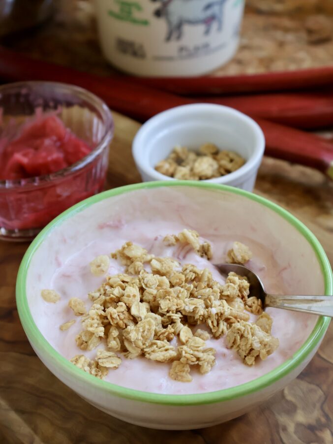 rhubarb yogurt in a bowl