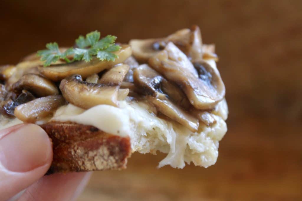 fresh mozzarella and mushroom toast 