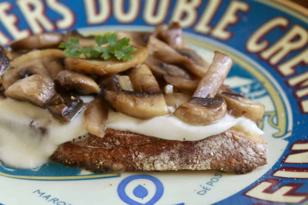 fresh mozzarella and mushroom toast