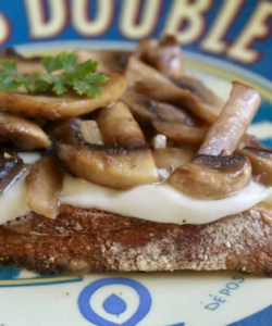 fresh mozzarella and mushroom toast
