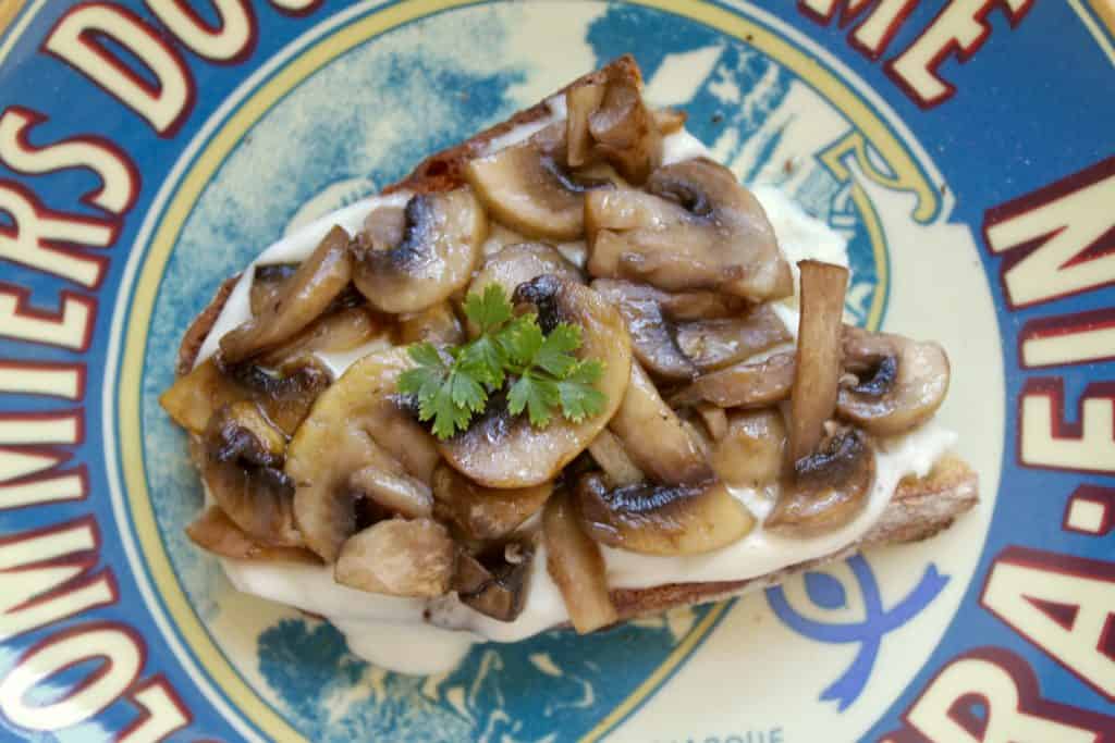 fresh mozzarella and mushroom toast 