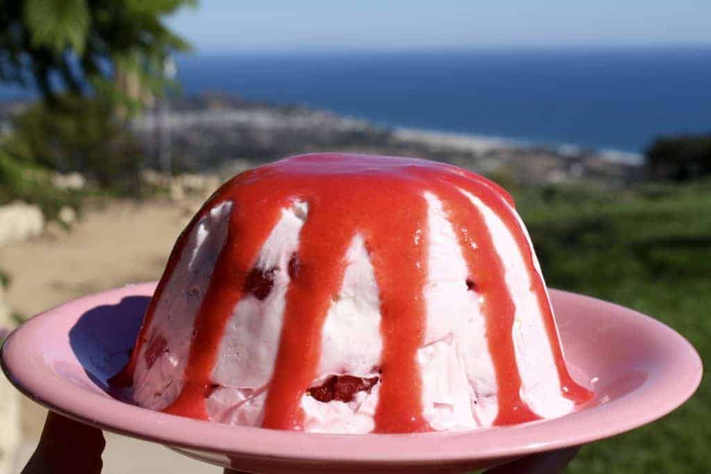 Frozen Strawberry Yogurt Meringue Dessert with Strawberry Coulis
