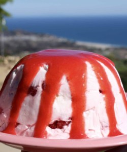 Frozen Strawberry Yogurt Meringue Dessert with Strawberry Coulis