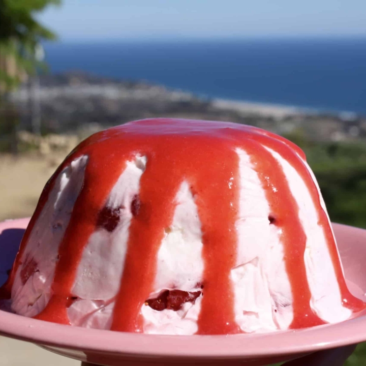 Frozen Strawberry Yogurt Meringue Dessert with Strawberry Coulis