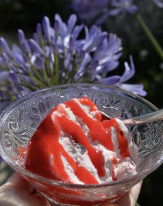 Frozen Strawberry Yogurt Meringue Dessert with Strawberry Coulis