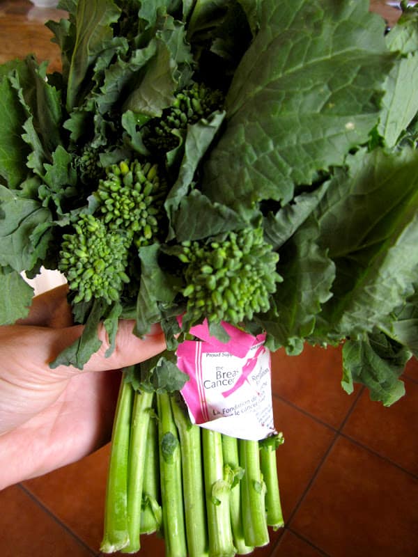 Handheld bunch of rapini Handheld bunch of rapini