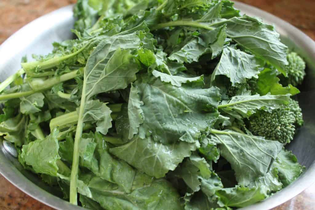 Fresh Rapini