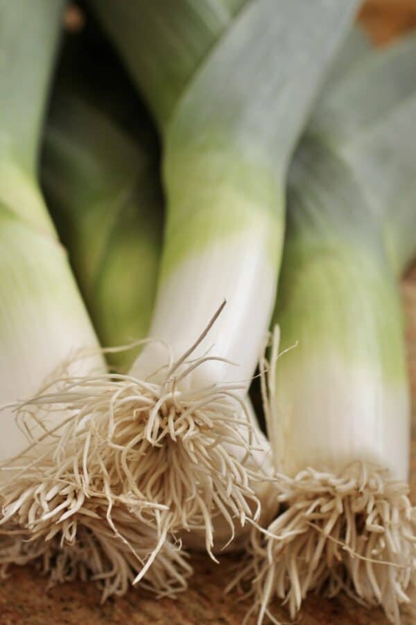 white part of leeks