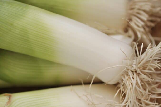 white part of leeks