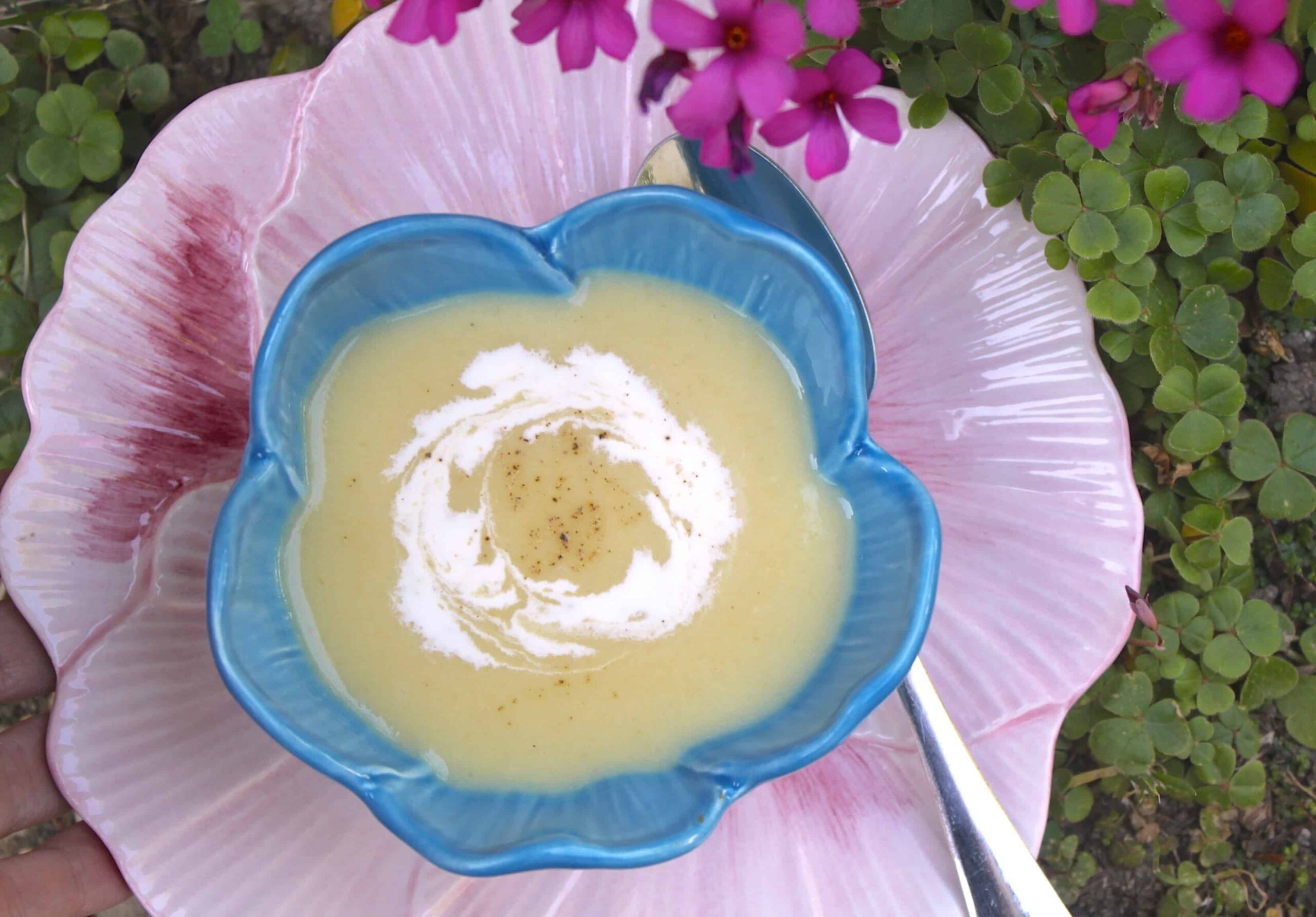 Leek and potato soup