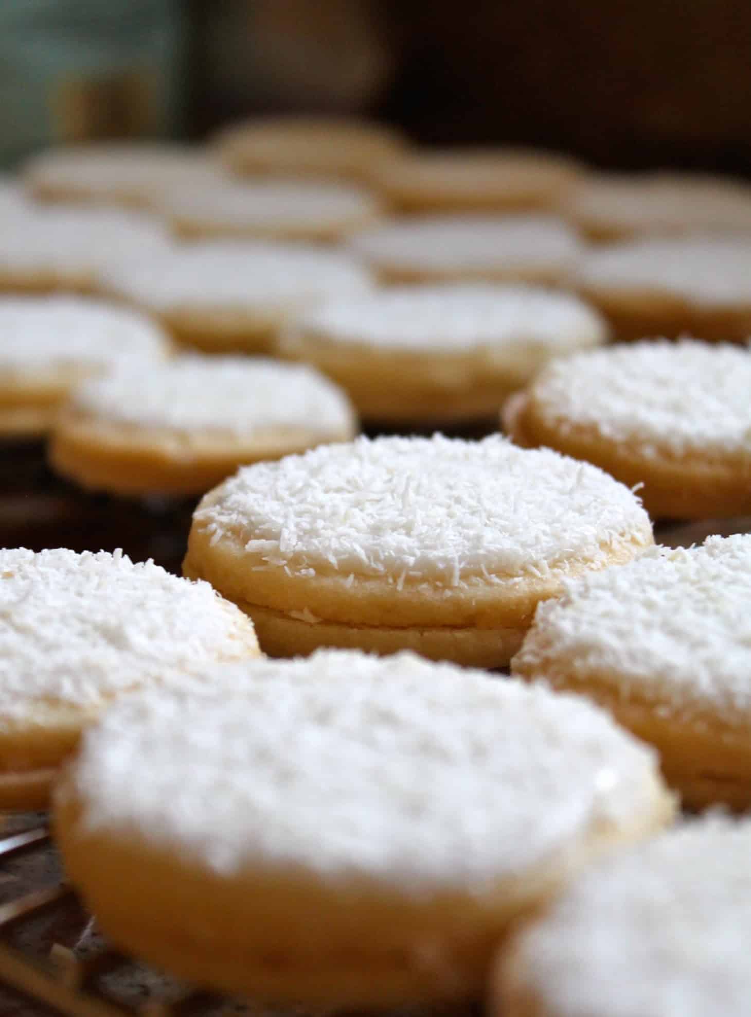 Snow Cookies, an LA Times Holiday Cookie Bakeoff Winner Christina's