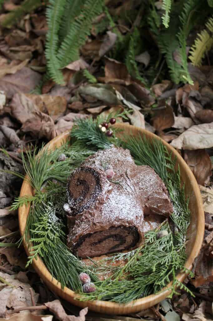 yule log in the leaves with ferns
