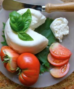 Burrata and Tomatoes