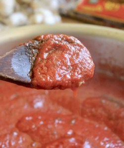 italian tomato sauce on a wooden spoon