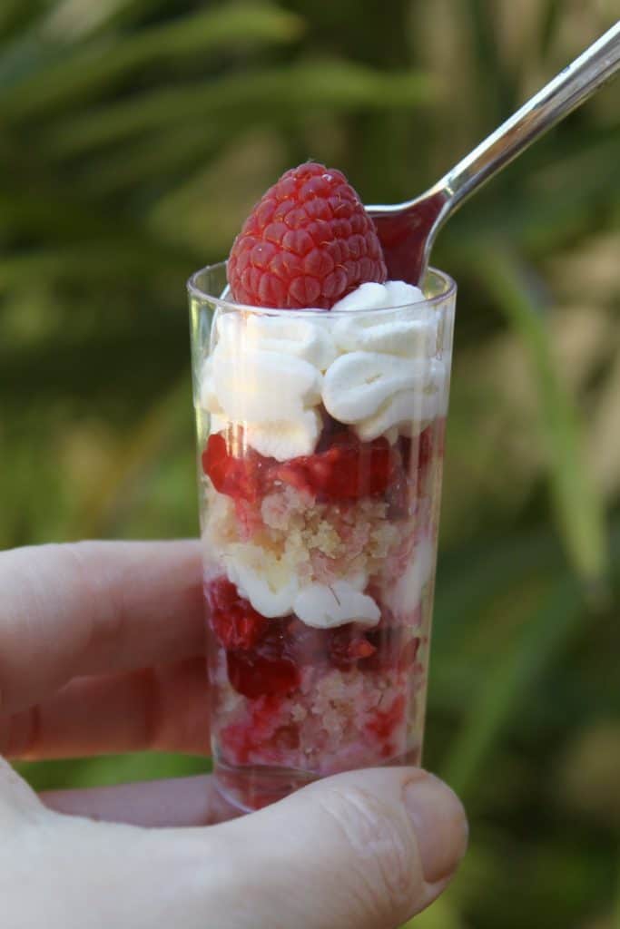 Individual lemon raspberry trifles trifle recipe whipped cream limoncello