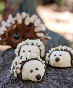 hedgehog cookies on a branch
