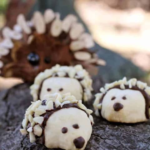hedgehog cookies on a branch