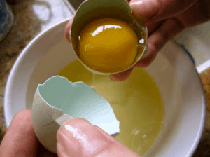 separating egg yolk from white