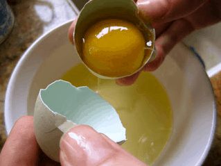 separating egg yolk from white