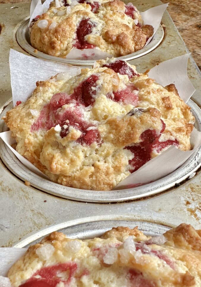 cranberry orange muffins