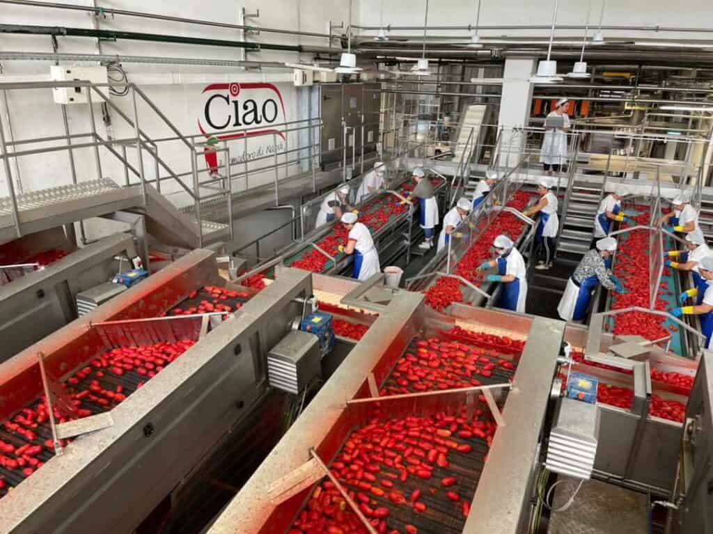 Ciao tomato factory inside