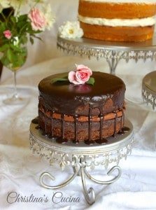 chocolate cake on a stand.