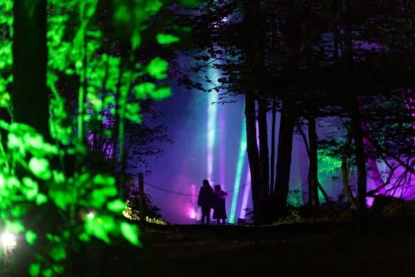 Enchanted Forest Pitlochry