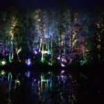 The Enchanted Forest in Pitlochry is a Must See if you are in Scotland!