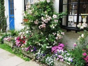 Flower display in Rye, East Sussex