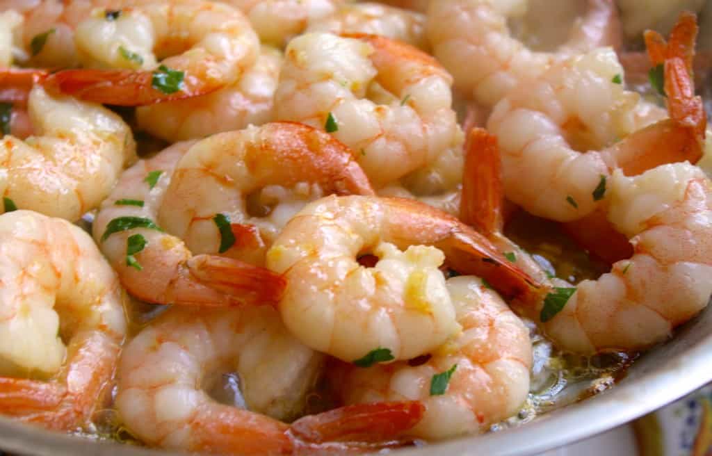 Drain the pasta and place. in a bowl. with the shrimp and sauce added on to...