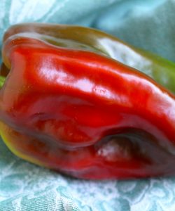 red and green sweet pepper
