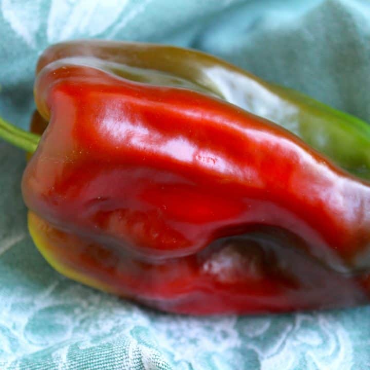 red and green sweet pepper