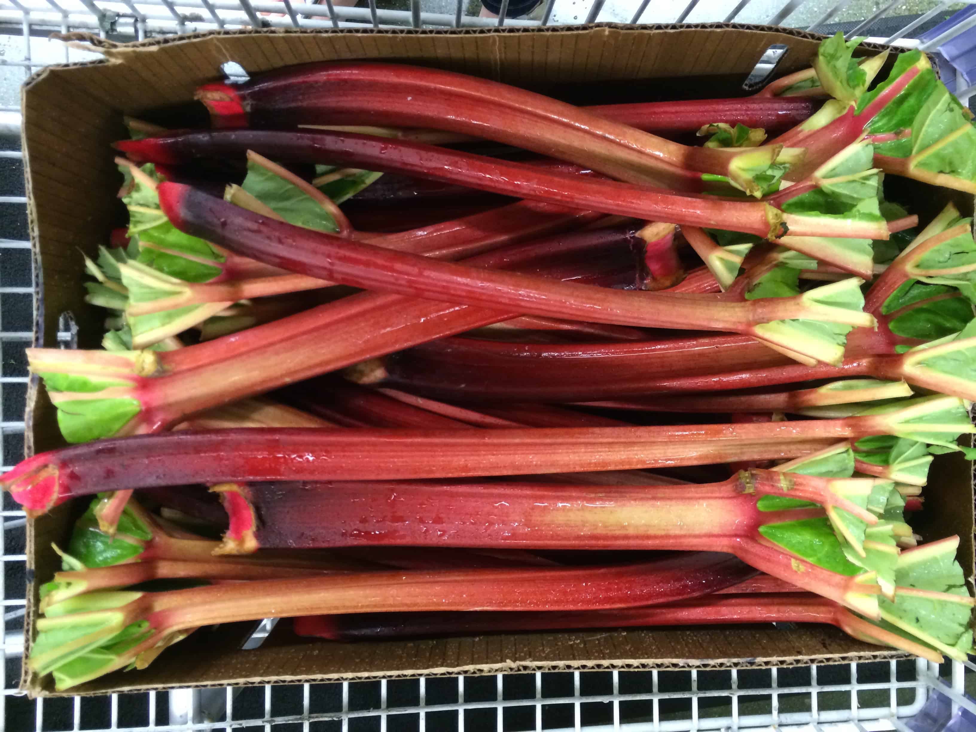 box of rhubarb stalks