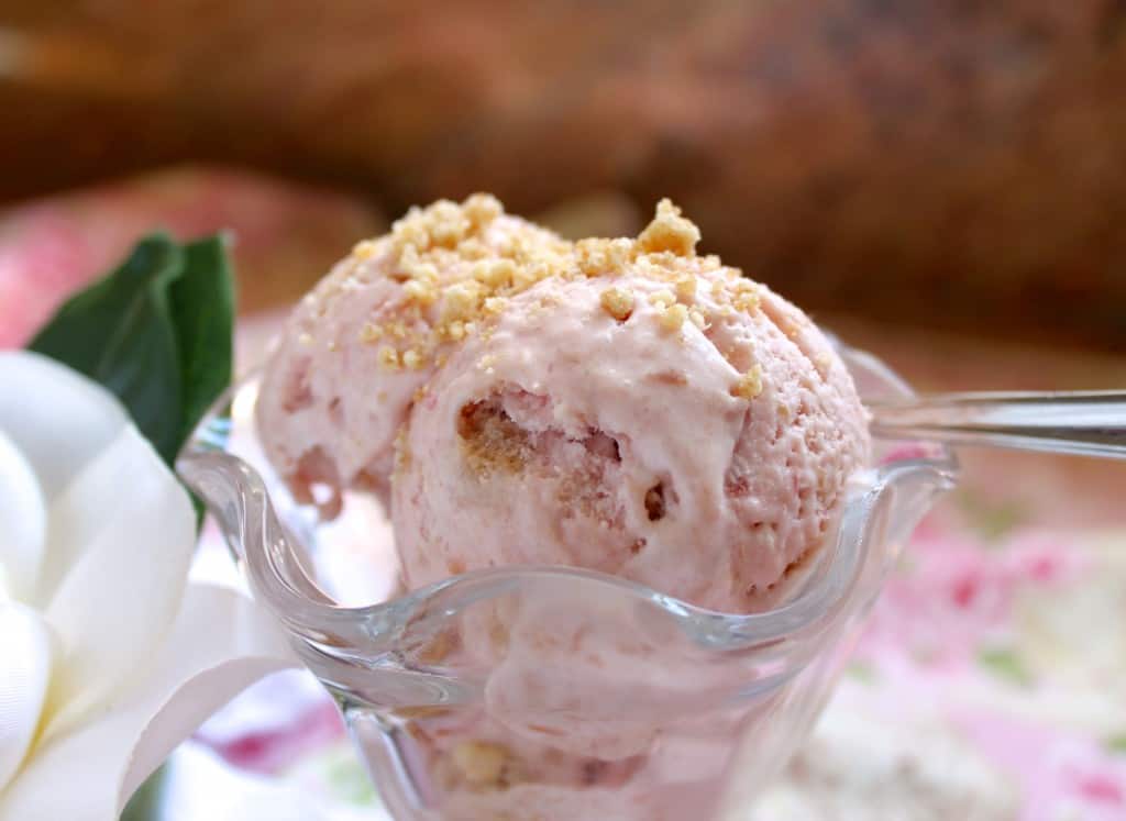 Rhubarb Crumble Ice Cream in a bowl