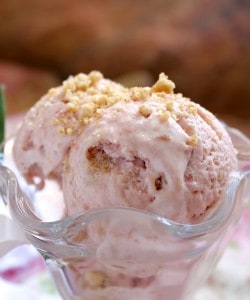 Rhubarb Crumble Ice Cream in a bowl